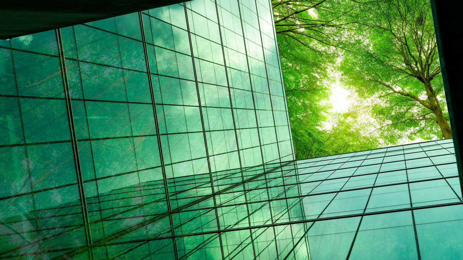 Sustainability for Financial Institutions: Sign Online